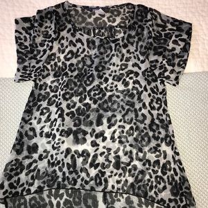 Blue Rain black cheetah sheer top